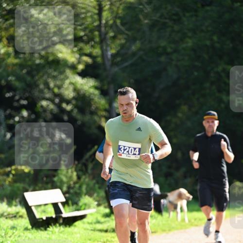 27.09.2026 - 35. Volkslauf durch das schöne Alstertal Dr. Thomas Lammeyer http://msf.ph/oto/10570986 27.09.2026 11:16:33 Laufen 3204 meine-sportfotos.de