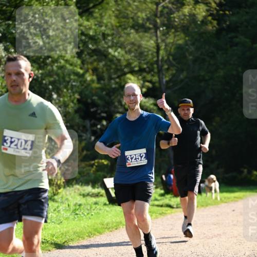 27.09.2026 - 35. Volkslauf durch das schöne Alstertal Dr. Thomas Lammeyer http://msf.ph/oto/10570999 27.09.2026 11:16:35 Laufen 3204, 3252 meine-sportfotos.de
