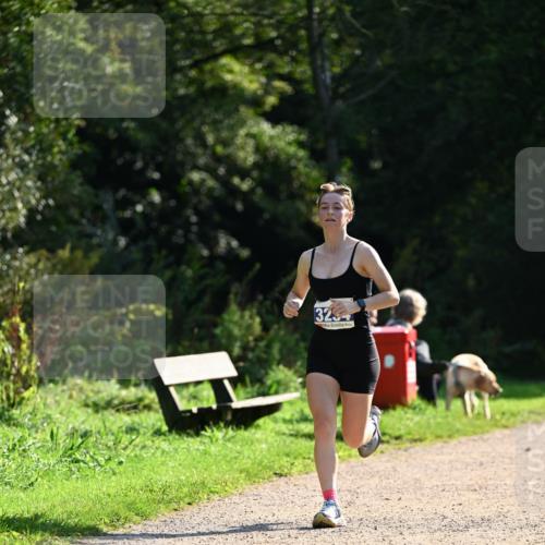 27.09.2026 - 35. Volkslauf durch das schöne Alstertal Dr. Thomas Lammeyer http://msf.ph/oto/10571051 27.09.2026 11:16:58 Laufen 323 meine-sportfotos.de