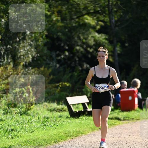 27.09.2026 - 35. Volkslauf durch das schöne Alstertal Dr. Thomas Lammeyer http://msf.ph/oto/10571055 27.09.2026 11:16:59 Laufen 3234 meine-sportfotos.de