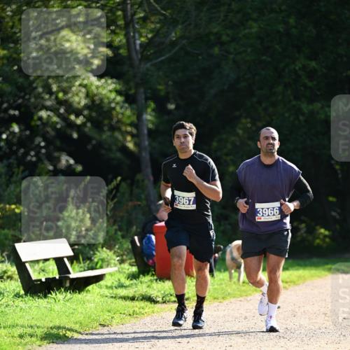27.09.2026 - 35. Volkslauf durch das schöne Alstertal Dr. Thomas Lammeyer http://msf.ph/oto/10571092 27.09.2026 11:17:12 Laufen 3967, 3966 meine-sportfotos.de