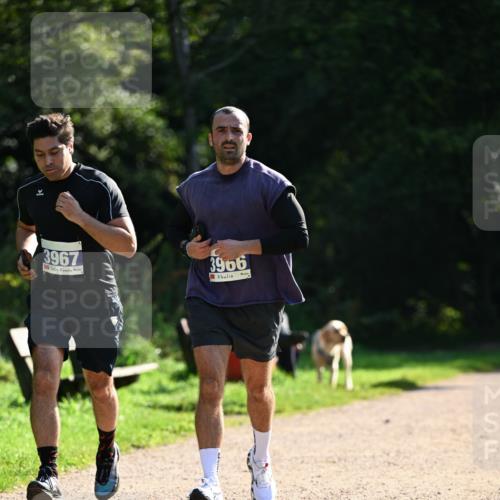 27.09.2026 - 35. Volkslauf durch das schöne Alstertal Dr. Thomas Lammeyer http://msf.ph/oto/10571104 27.09.2026 11:17:14 Laufen 3967, 3966 meine-sportfotos.de