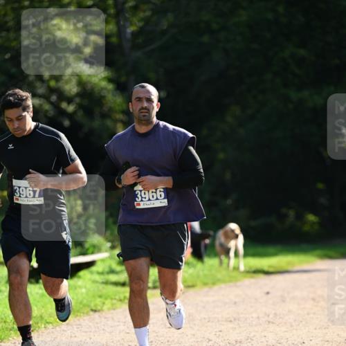 27.09.2026 - 35. Volkslauf durch das schöne Alstertal Dr. Thomas Lammeyer http://msf.ph/oto/10571105 27.09.2026 11:17:14 Laufen 3967, 3966 meine-sportfotos.de