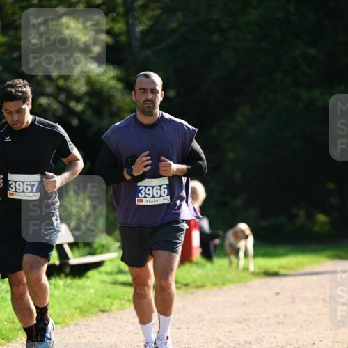 27.09.2026 - 35. Volkslauf durch das schöne Alstertal Dr. Thomas Lammeyer http://msf.ph/oto/10571106 27.09.2026 11:17:14 Laufen 3967, 3966 meine-sportfotos.de