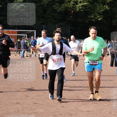 27.09.2026 - 35. Volkslauf durch das schöne Alstertal Strokosch-Dieckow http://msf.ph/oto/10571132 27.09.2026 12:19:11 Ziel 1580, 1627, 1665, 2283, 2454, 2956 meine-sportfotos.de