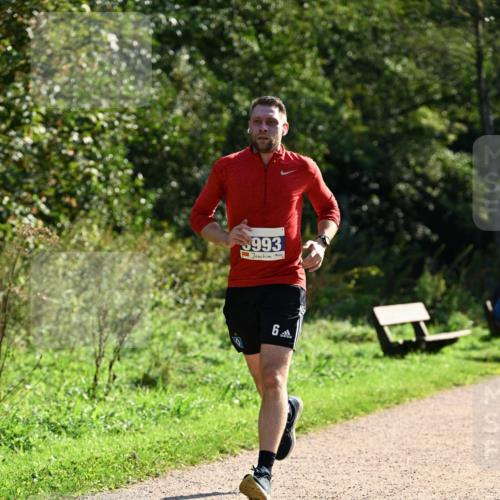 27.09.2026 - 35. Volkslauf durch das schöne Alstertal Dr. Thomas Lammeyer http://msf.ph/oto/10571133 27.09.2026 11:17:21 Laufen 993, 6 meine-sportfotos.de