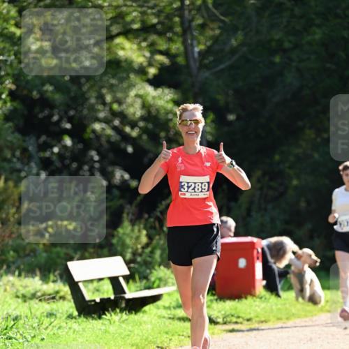 27.09.2026 - 35. Volkslauf durch das schöne Alstertal Dr. Thomas Lammeyer http://msf.ph/oto/10571184 27.09.2026 11:17:42 Laufen 2019, 3289 meine-sportfotos.de