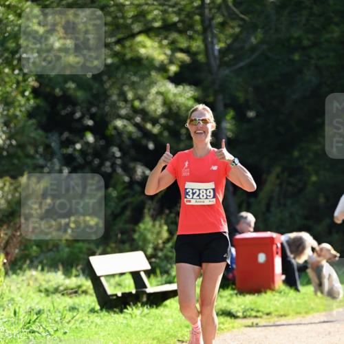 27.09.2026 - 35. Volkslauf durch das schöne Alstertal Dr. Thomas Lammeyer http://msf.ph/oto/10571185 27.09.2026 11:17:43 Laufen 2019, 38, 3289 meine-sportfotos.de