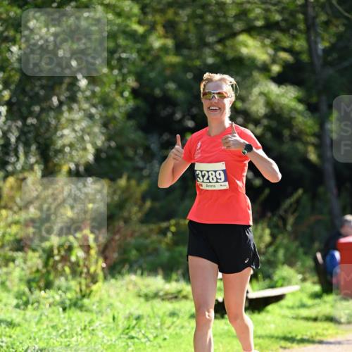 27.09.2026 - 35. Volkslauf durch das schöne Alstertal Dr. Thomas Lammeyer http://msf.ph/oto/10571192 27.09.2026 11:17:43 Laufen 3289 meine-sportfotos.de