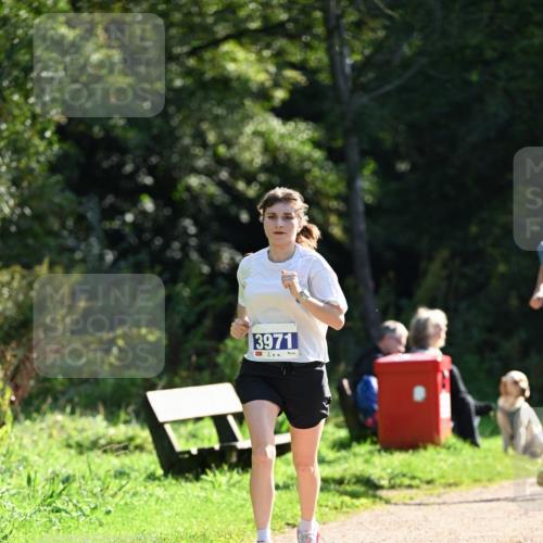 27.09.2026 - 35. Volkslauf durch das schöne Alstertal Dr. Thomas Lammeyer http://msf.ph/oto/10571201 27.09.2026 11:17:45 Laufen 3971 meine-sportfotos.de