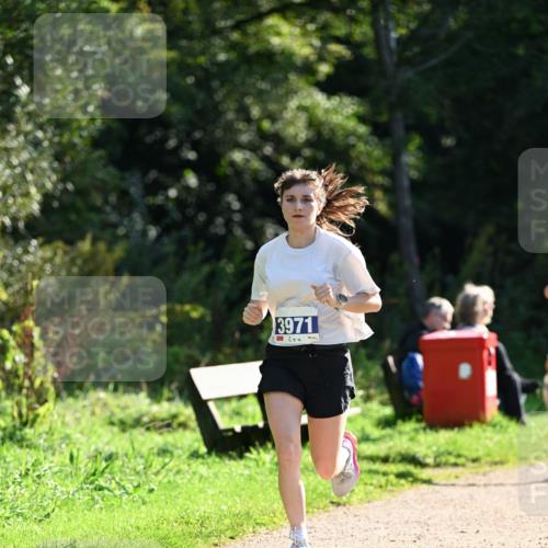 27.09.2026 - 35. Volkslauf durch das schöne Alstertal Dr. Thomas Lammeyer http://msf.ph/oto/10571202 27.09.2026 11:17:45 Laufen 3971 meine-sportfotos.de