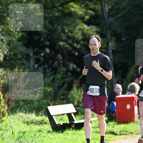 27.09.2026 - 35. Volkslauf durch das schöne Alstertal Dr. Thomas Lammeyer http://msf.ph/oto/10571271 27.09.2026 11:18:14 Laufen 3185 meine-sportfotos.de