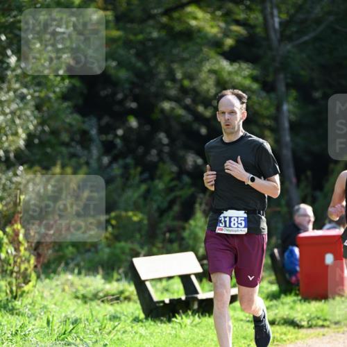 27.09.2026 - 35. Volkslauf durch das schöne Alstertal Dr. Thomas Lammeyer http://msf.ph/oto/10571272 27.09.2026 11:18:14 Laufen 3185 meine-sportfotos.de