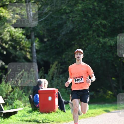 27.09.2026 - 35. Volkslauf durch das schöne Alstertal Dr. Thomas Lammeyer http://msf.ph/oto/10571302 27.09.2026 11:18:21 Laufen 1403 meine-sportfotos.de