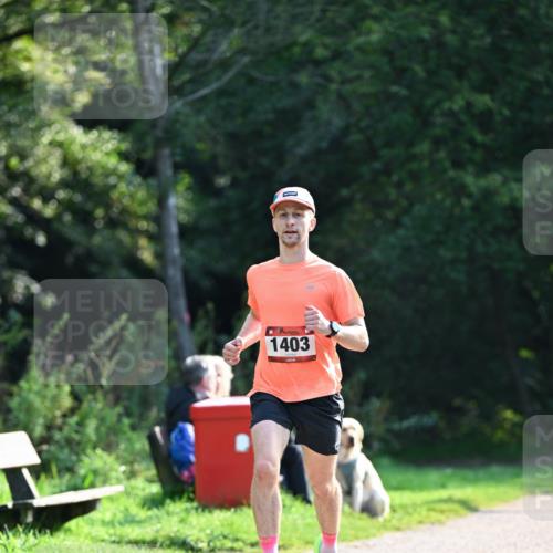 27.09.2026 - 35. Volkslauf durch das schöne Alstertal Dr. Thomas Lammeyer http://msf.ph/oto/10571307 27.09.2026 11:18:21 Laufen 1403 meine-sportfotos.de
