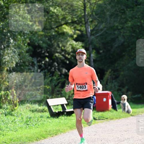 27.09.2026 - 35. Volkslauf durch das schöne Alstertal Dr. Thomas Lammeyer http://msf.ph/oto/10571313 27.09.2026 11:18:22 Laufen 1403 meine-sportfotos.de