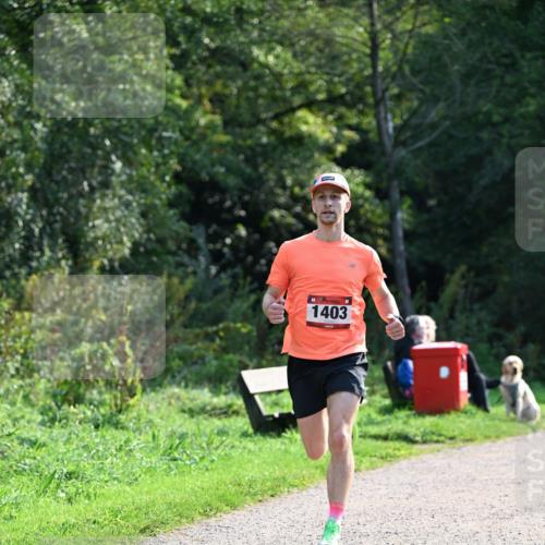 27.09.2026 - 35. Volkslauf durch das schöne Alstertal Dr. Thomas Lammeyer http://msf.ph/oto/10571316 27.09.2026 11:18:22 Laufen 1403 meine-sportfotos.de