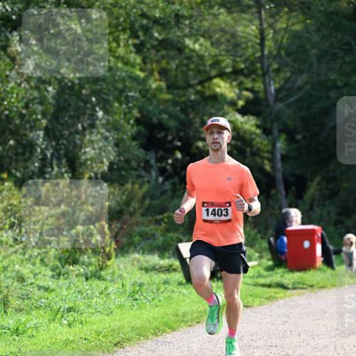 27.09.2026 - 35. Volkslauf durch das schöne Alstertal Dr. Thomas Lammeyer http://msf.ph/oto/10571317 27.09.2026 11:18:22 Laufen 1403 meine-sportfotos.de