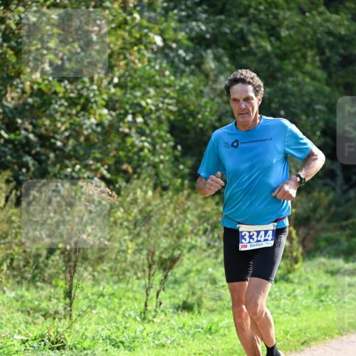 27.09.2026 - 35. Volkslauf durch das schöne Alstertal Dr. Thomas Lammeyer http://msf.ph/oto/10571365 27.09.2026 11:18:34 Laufen 3344 meine-sportfotos.de