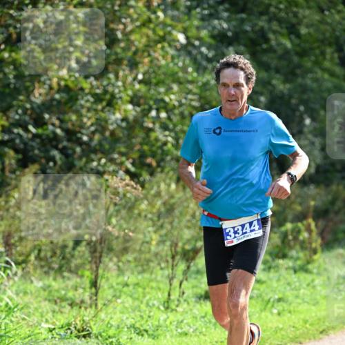 27.09.2026 - 35. Volkslauf durch das schöne Alstertal Dr. Thomas Lammeyer http://msf.ph/oto/10571367 27.09.2026 11:18:35 Laufen 3344 meine-sportfotos.de