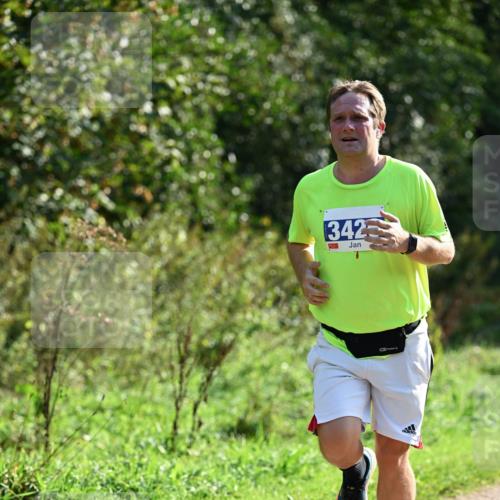 27.09.2026 - 35. Volkslauf durch das schöne Alstertal Dr. Thomas Lammeyer http://msf.ph/oto/10571382 27.09.2026 11:18:42 Laufen 342 meine-sportfotos.de