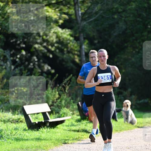 27.09.2026 - 35. Volkslauf durch das schöne Alstertal Dr. Thomas Lammeyer http://msf.ph/oto/10571387 27.09.2026 11:18:46 Laufen 3361 meine-sportfotos.de