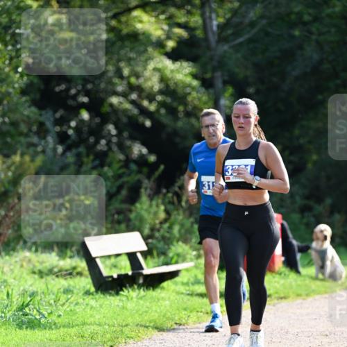 27.09.2026 - 35. Volkslauf durch das schöne Alstertal Dr. Thomas Lammeyer http://msf.ph/oto/10571391 27.09.2026 11:18:47 Laufen 31, 321 meine-sportfotos.de