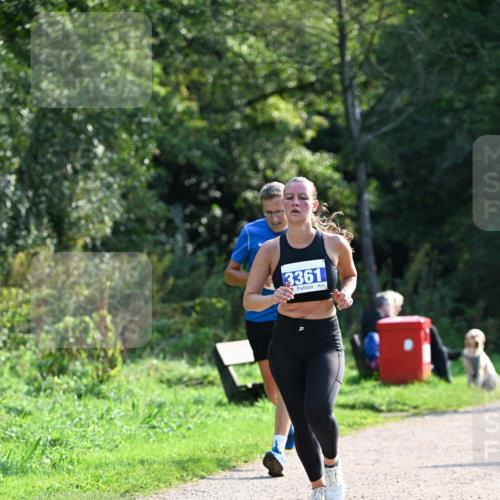 27.09.2026 - 35. Volkslauf durch das schöne Alstertal Dr. Thomas Lammeyer http://msf.ph/oto/10571402 27.09.2026 11:18:48 Laufen 3361 meine-sportfotos.de