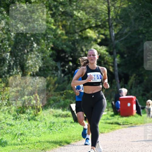 27.09.2026 - 35. Volkslauf durch das schöne Alstertal Dr. Thomas Lammeyer http://msf.ph/oto/10571403 27.09.2026 11:18:48 Laufen 361 meine-sportfotos.de