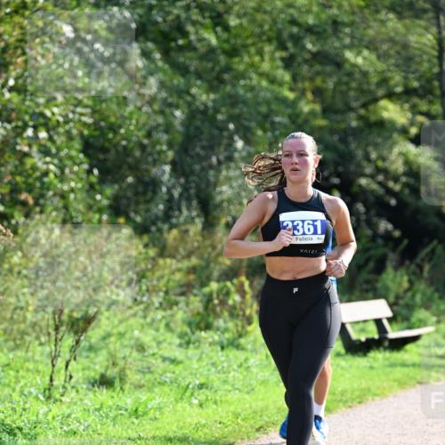 27.09.2026 - 35. Volkslauf durch das schöne Alstertal Dr. Thomas Lammeyer http://msf.ph/oto/10571411 27.09.2026 11:18:49 Laufen 2361, 21 meine-sportfotos.de