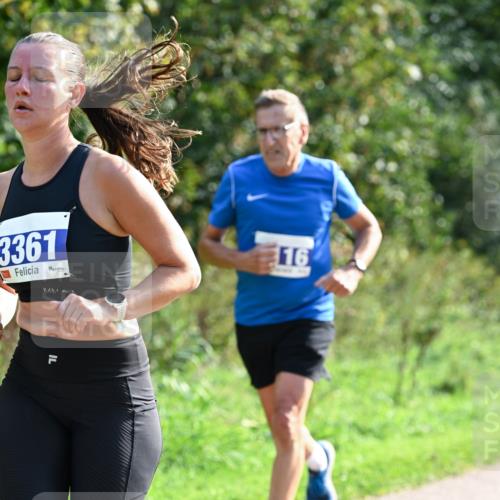 27.09.2026 - 35. Volkslauf durch das schöne Alstertal Dr. Thomas Lammeyer http://msf.ph/oto/10571421 27.09.2026 11:18:51 Laufen 3361, 16 meine-sportfotos.de