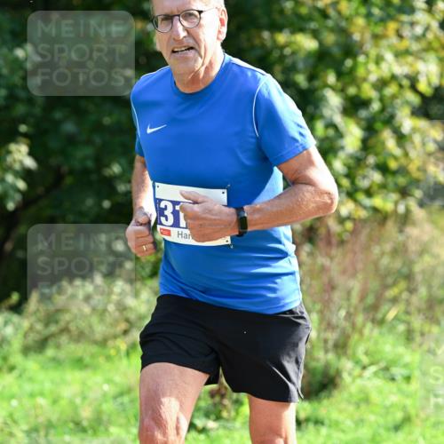 27.09.2026 - 35. Volkslauf durch das schöne Alstertal Dr. Thomas Lammeyer http://msf.ph/oto/10571429 27.09.2026 11:18:52 Laufen 31 meine-sportfotos.de