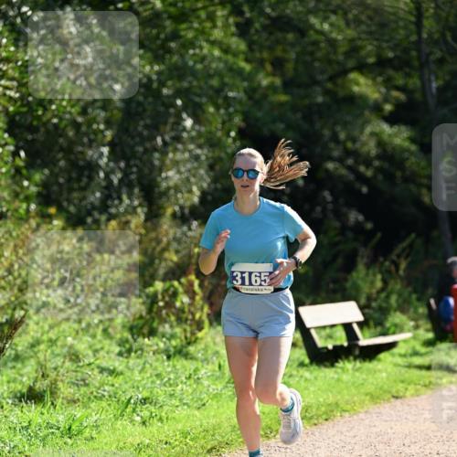 27.09.2026 - 35. Volkslauf durch das schöne Alstertal Dr. Thomas Lammeyer http://msf.ph/oto/10571448 27.09.2026 11:19:03 Laufen 3165 meine-sportfotos.de