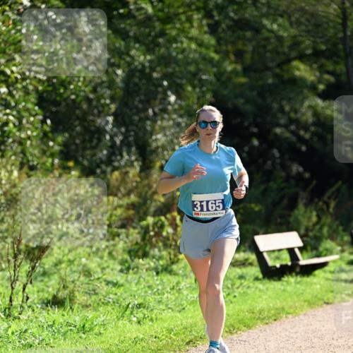 27.09.2026 - 35. Volkslauf durch das schöne Alstertal Dr. Thomas Lammeyer http://msf.ph/oto/10571449 27.09.2026 11:19:03 Laufen 3165 meine-sportfotos.de