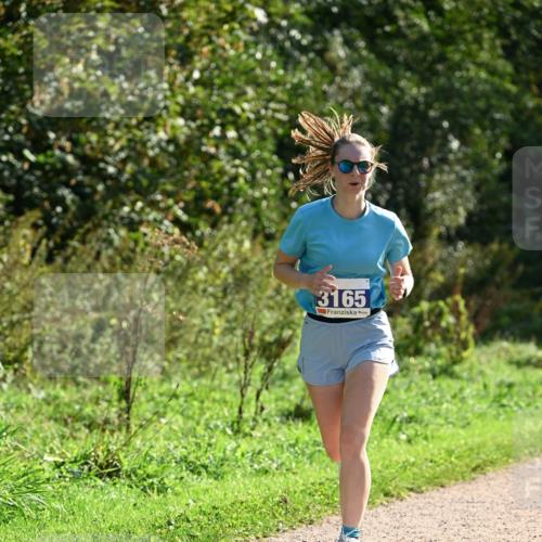 27.09.2026 - 35. Volkslauf durch das schöne Alstertal Dr. Thomas Lammeyer http://msf.ph/oto/10571456 27.09.2026 11:19:04 Laufen 3165 meine-sportfotos.de