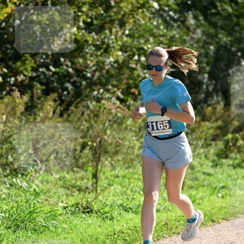27.09.2026 - 35. Volkslauf durch das schöne Alstertal Dr. Thomas Lammeyer http://msf.ph/oto/10571459 27.09.2026 11:19:04 Laufen 3165 meine-sportfotos.de