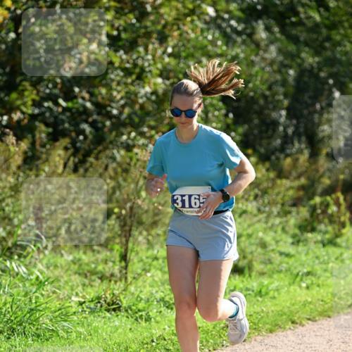 27.09.2026 - 35. Volkslauf durch das schöne Alstertal Dr. Thomas Lammeyer http://msf.ph/oto/10571460 27.09.2026 11:19:04 Laufen 316 meine-sportfotos.de