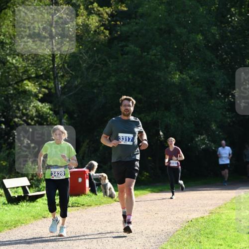 27.09.2026 - 35. Volkslauf durch das schöne Alstertal Dr. Thomas Lammeyer http://msf.ph/oto/10571463 27.09.2026 11:19:08 Laufen 2013, 3428, 3317 meine-sportfotos.de