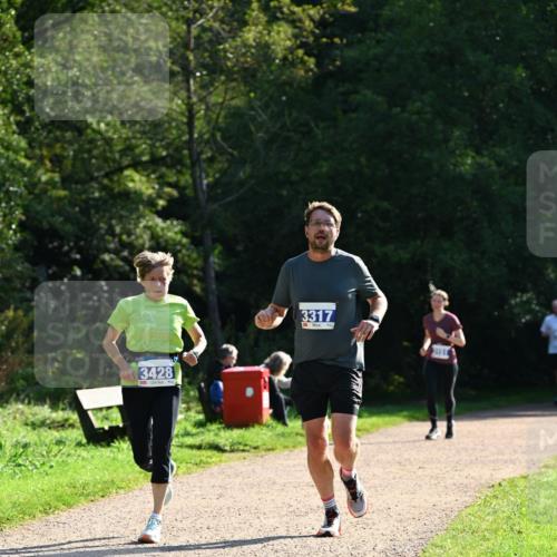 27.09.2026 - 35. Volkslauf durch das schöne Alstertal Dr. Thomas Lammeyer http://msf.ph/oto/10571468 27.09.2026 11:19:08 Laufen 15, 2013, 3317, 3428 meine-sportfotos.de