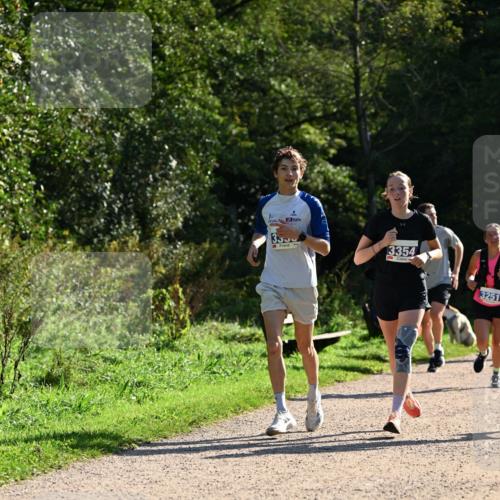 27.09.2026 - 35. Volkslauf durch das schöne Alstertal Dr. Thomas Lammeyer http://msf.ph/oto/10571511 27.09.2026 11:19:21 Laufen 3550, 3354, 3251 meine-sportfotos.de