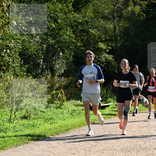 27.09.2026 - 35. Volkslauf durch das schöne Alstertal Dr. Thomas Lammeyer http://msf.ph/oto/10571512 27.09.2026 11:19:21 Laufen 3355, 24, 3251 meine-sportfotos.de