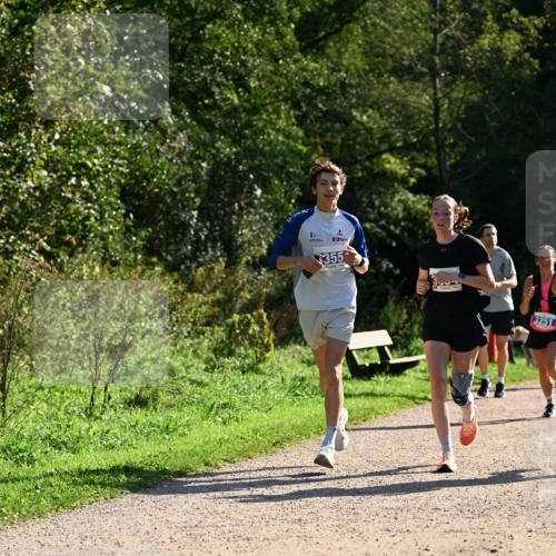 27.09.2026 - 35. Volkslauf durch das schöne Alstertal Dr. Thomas Lammeyer http://msf.ph/oto/10571515 27.09.2026 11:19:21 Laufen 355, 3251 meine-sportfotos.de