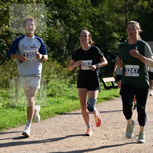 27.09.2026 - 35. Volkslauf durch das schöne Alstertal Dr. Thomas Lammeyer http://msf.ph/oto/10571525 27.09.2026 11:19:23 Laufen 355, 3354, 3247 meine-sportfotos.de