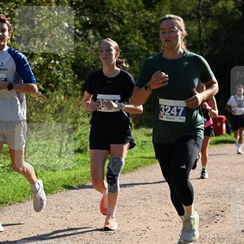 27.09.2026 - 35. Volkslauf durch das schöne Alstertal Dr. Thomas Lammeyer http://msf.ph/oto/10571527 27.09.2026 11:19:23 Laufen 32, 3247 meine-sportfotos.de