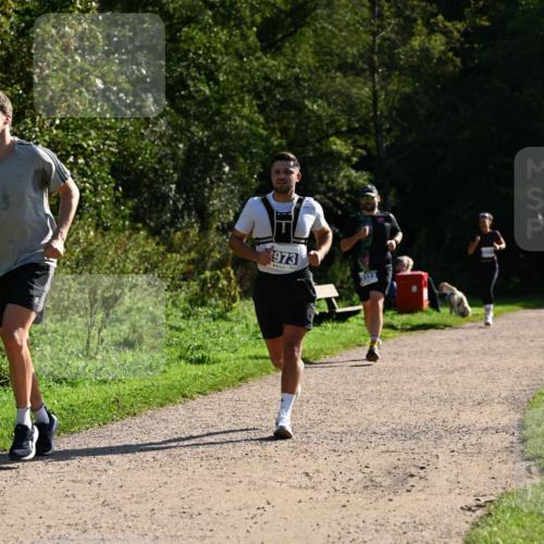 27.09.2026 - 35. Volkslauf durch das schöne Alstertal Dr. Thomas Lammeyer http://msf.ph/oto/10571540 27.09.2026 11:19:26 Laufen 973 meine-sportfotos.de