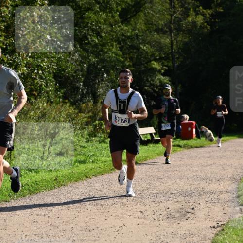 27.09.2026 - 35. Volkslauf durch das schöne Alstertal Dr. Thomas Lammeyer http://msf.ph/oto/10571542 27.09.2026 11:19:26 Laufen 3973, 3323 meine-sportfotos.de