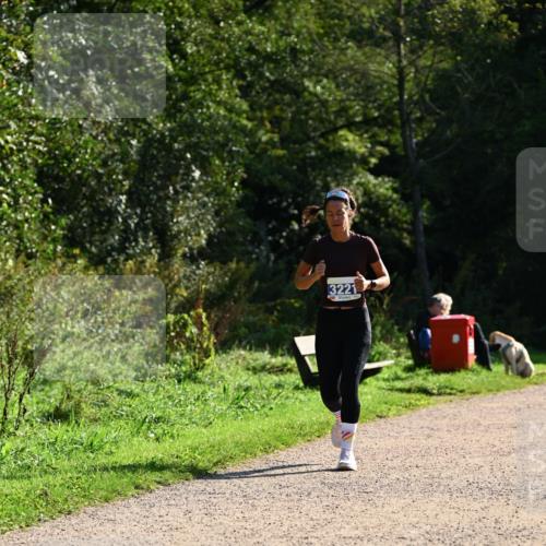 27.09.2026 - 35. Volkslauf durch das schöne Alstertal Dr. Thomas Lammeyer http://msf.ph/oto/10571561 27.09.2026 11:19:30 Laufen 3221 meine-sportfotos.de