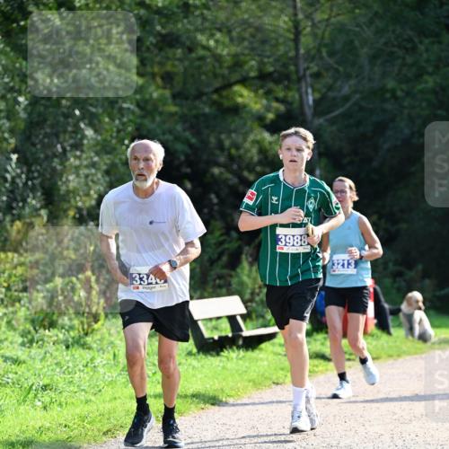 27.09.2026 - 35. Volkslauf durch das schöne Alstertal Dr. Thomas Lammeyer http://msf.ph/oto/10571635 27.09.2026 11:19:53 Laufen 3340, 3988, 3213 meine-sportfotos.de