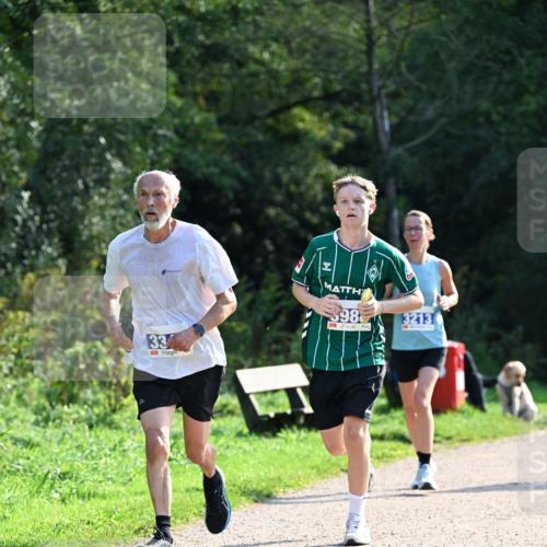 27.09.2026 - 35. Volkslauf durch das schöne Alstertal Dr. Thomas Lammeyer http://msf.ph/oto/10571636 27.09.2026 11:19:54 Laufen 33, 598, 3213 meine-sportfotos.de