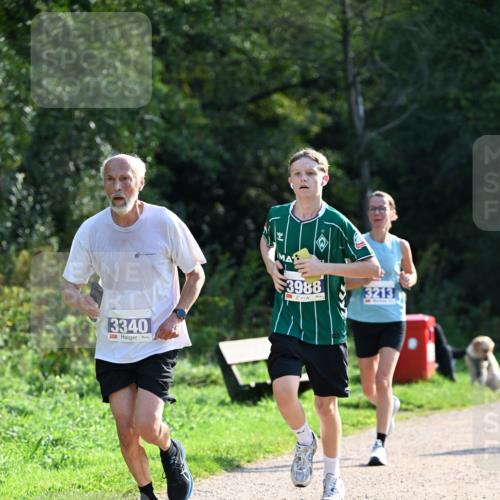 27.09.2026 - 35. Volkslauf durch das schöne Alstertal Dr. Thomas Lammeyer http://msf.ph/oto/10571637 27.09.2026 11:19:54 Laufen 3340, 3988, 3213 meine-sportfotos.de